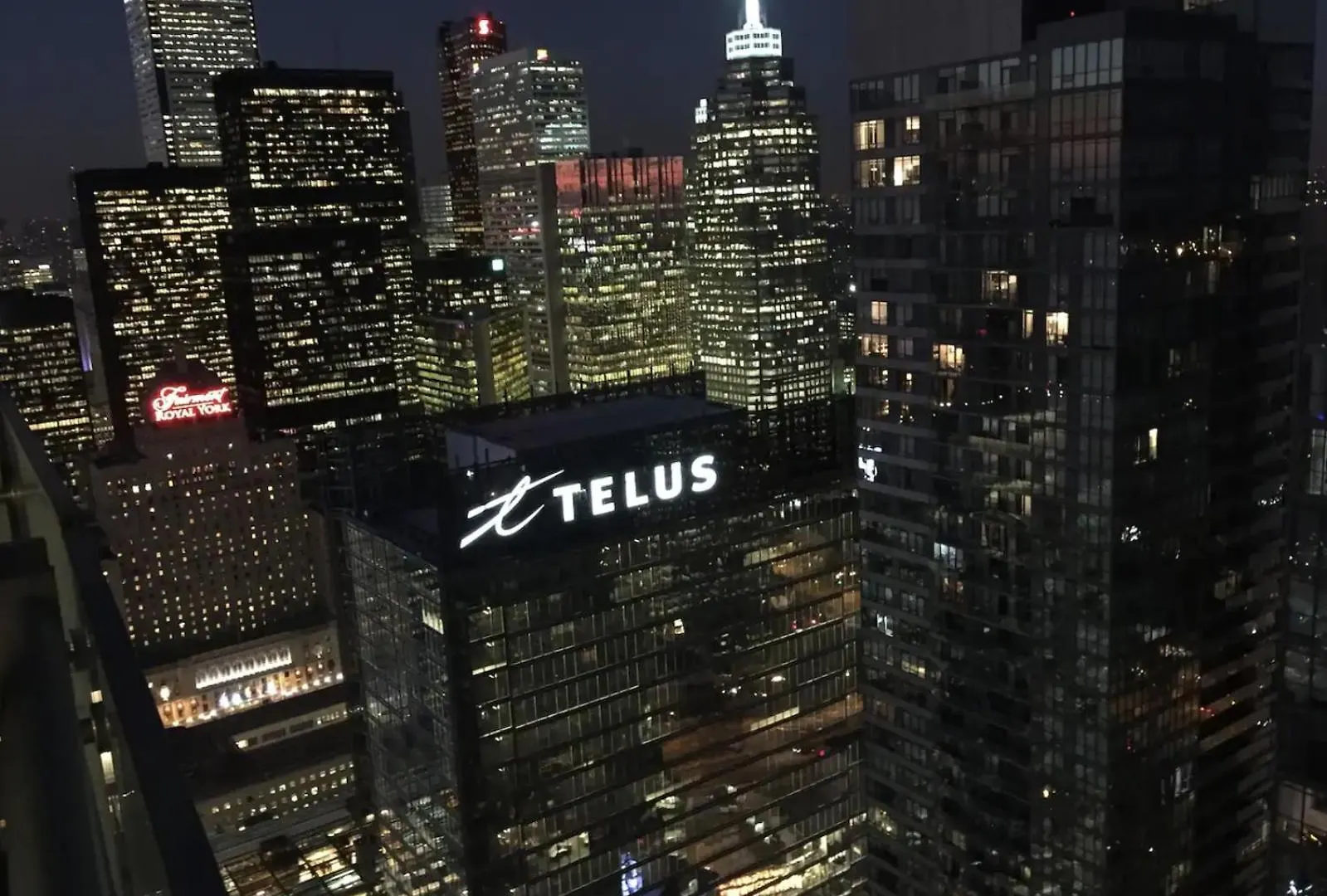 Best Downtown Toronto View!