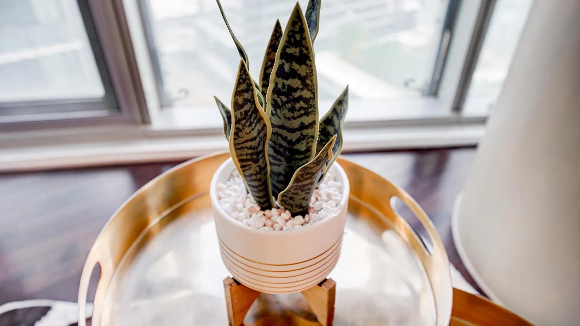 Best Downtown Toronto View! 0*,  Canada